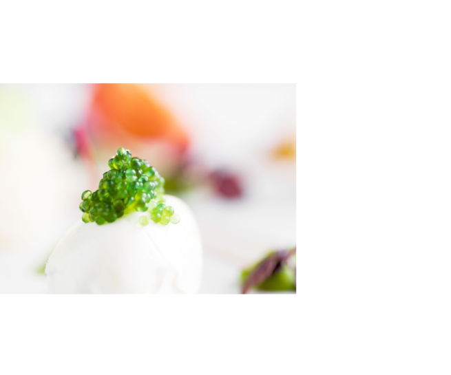 Goose By Agron Billa, Agron Billa, Gastronomie