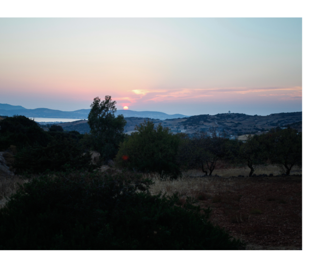 Paros et la Figue ou la Fille.