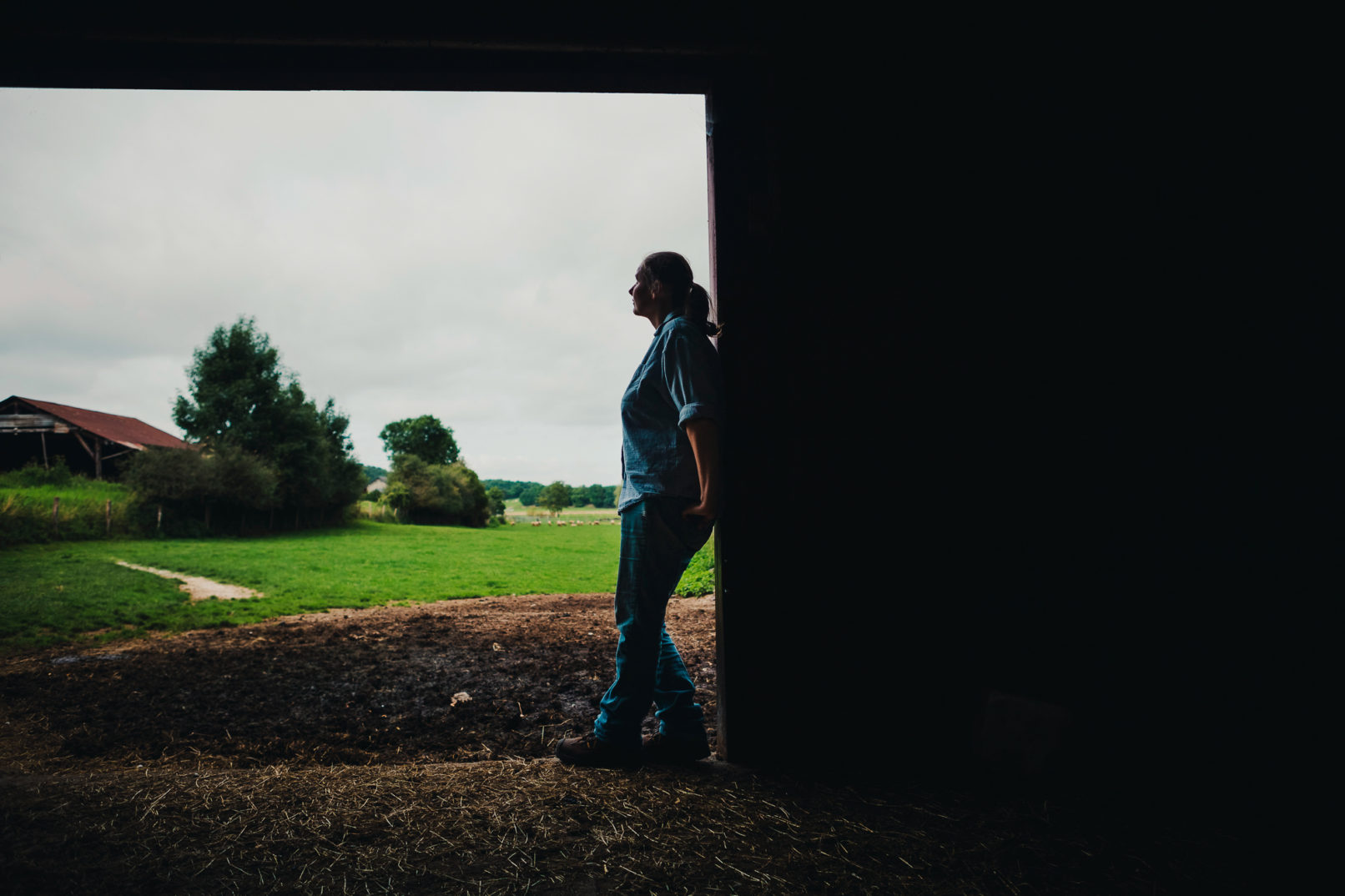 Botchi,Boris Lemestre, Idrisse Hidara