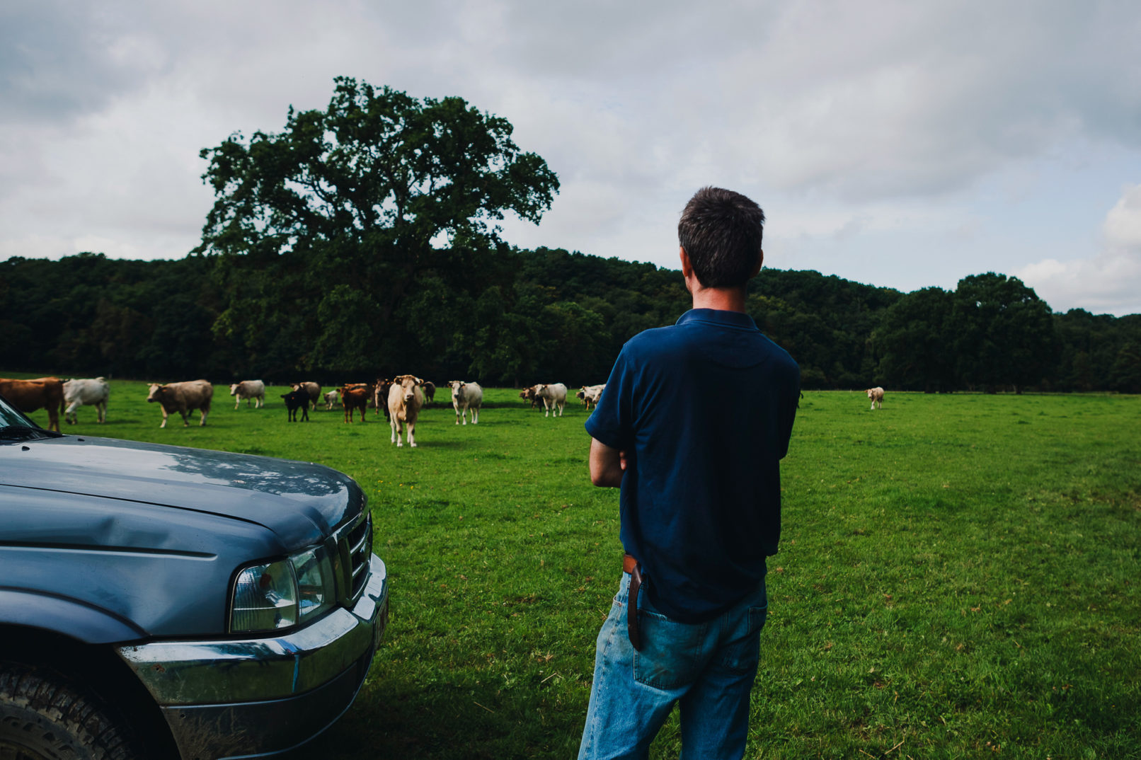 Botchi,Boris Lemestre, Idrisse Hidara