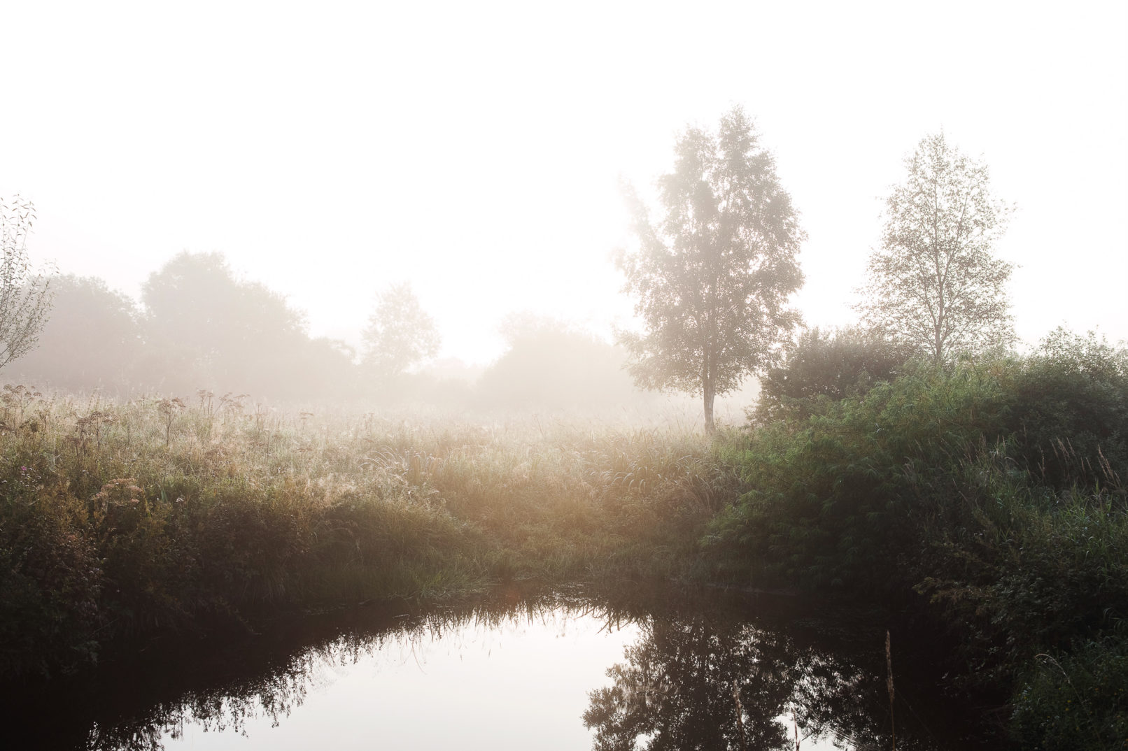 Botchi,Boris Lemestre, Idrisse Hidara