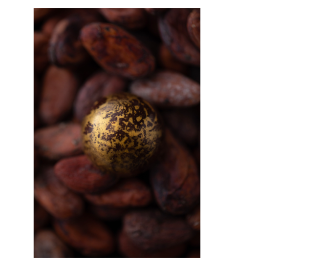 Idrisse Hidara, Photographe d'Univers Culinaire