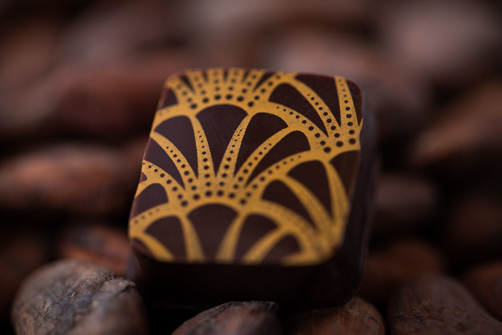 Carré Noir, Mélanie Lemmens & Idrisse Hidara