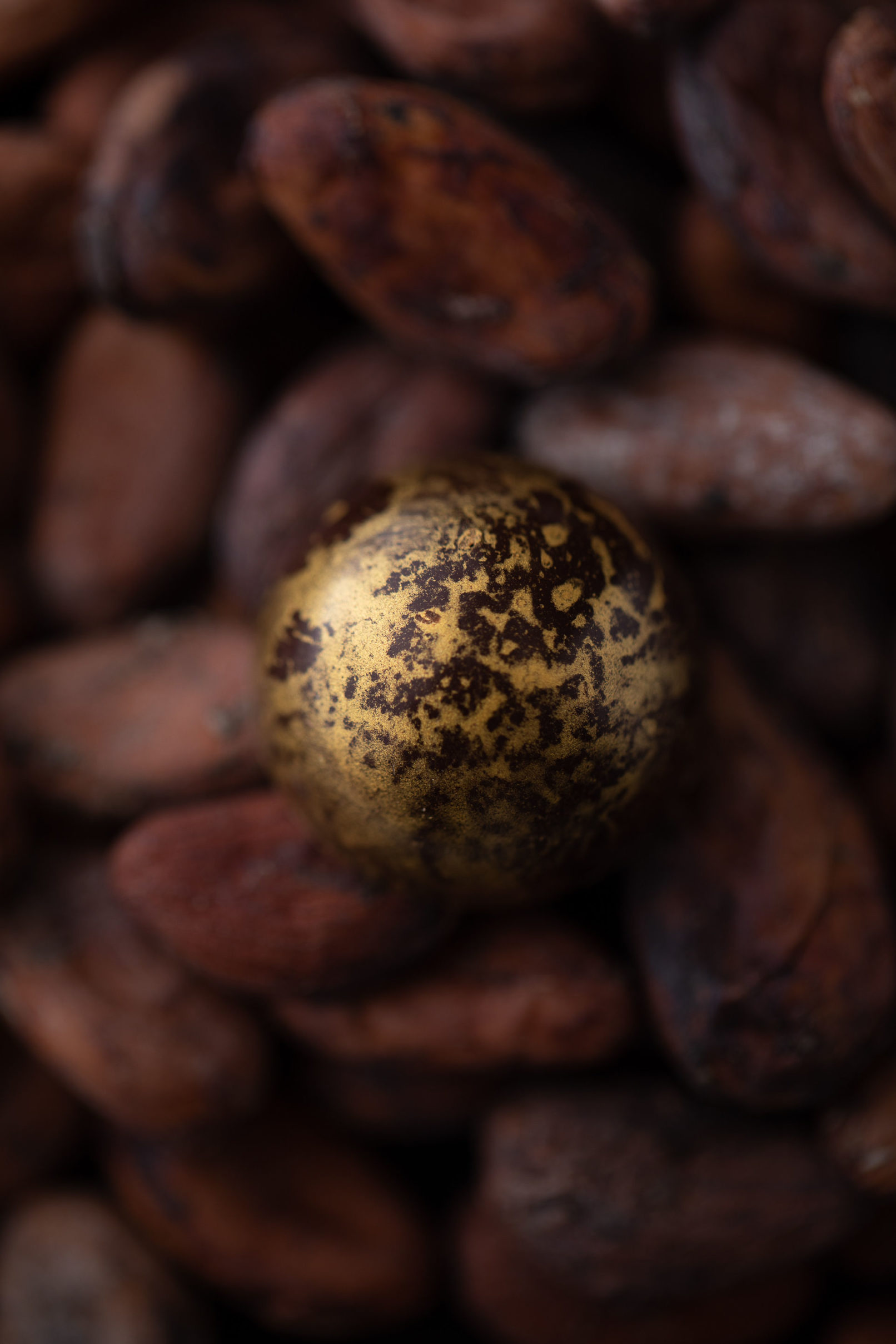 Carré Noir, Mélanie Lemmens & Idrisse Hidara